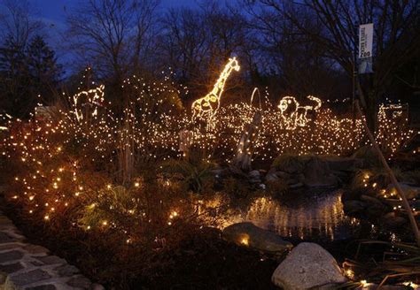 Turtle back zoo lights - Dec 5, 2021 ... HI EVERYONE IT'S VLOGMAS IN THIS VLOGMAS DAY 5 TURTLE BACK ZOO CHRISTMAS HOLIDAY LIGHTS | WEEKEND FAMILY VLOG MY HUSBAND AND I TOOK THE ...